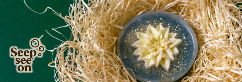 Kodu seebipesa cover left sharp outline 1640x624.png