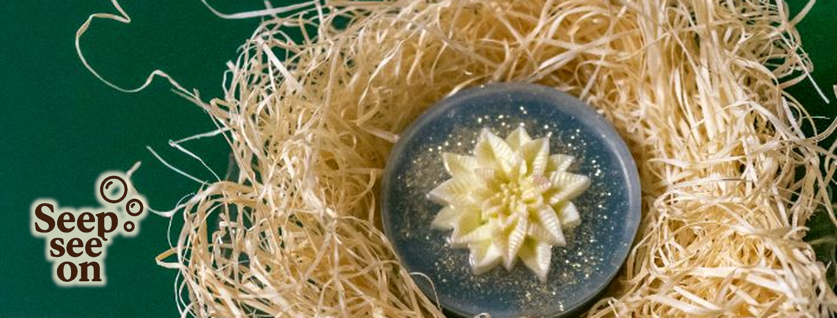 Seebipesa Cover Left Sharp Outline 1640x624